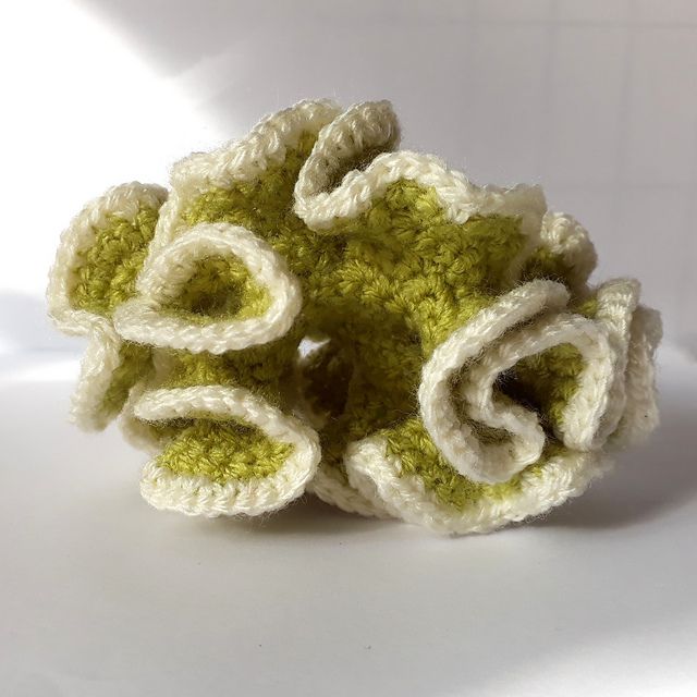 Lettuce Coral