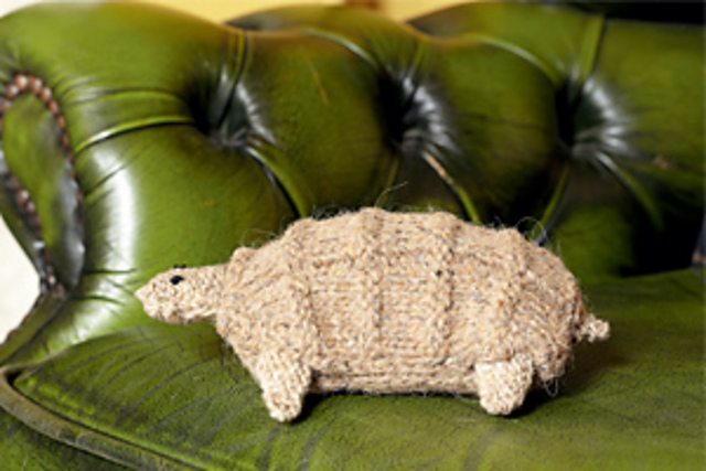 Tortoise