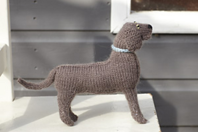 Weimaraner