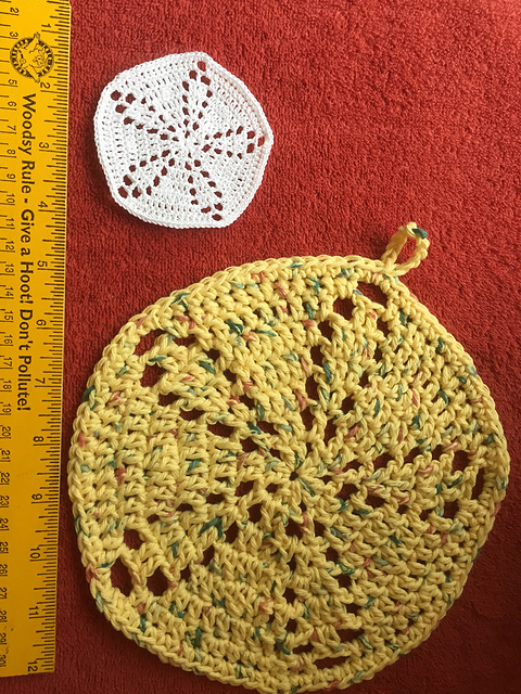 Sand Dollar Motif