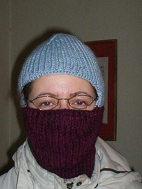 Unburglar/Face (Balaclava)