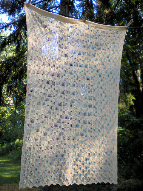 Trellis-Framed Leaf Curtain