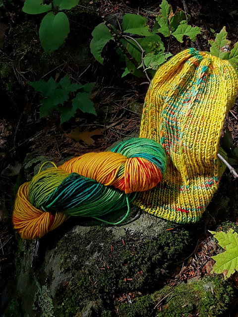 Lakes & Leaves Toque