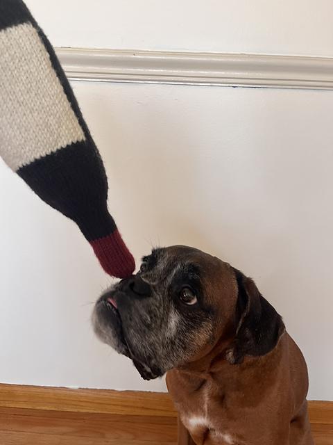 Wine About It Dog Toy