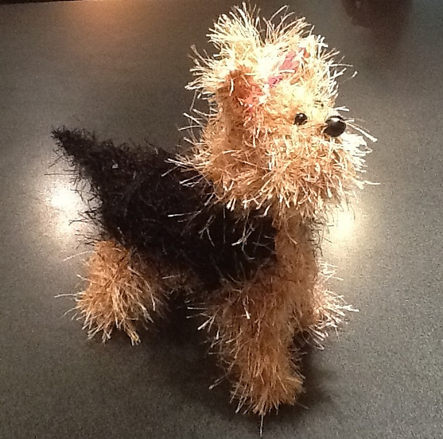 Yorkshire Terrier