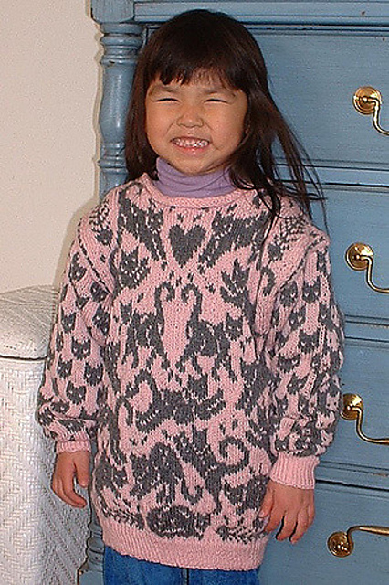 Child's Sweater with a Cat Pattern 