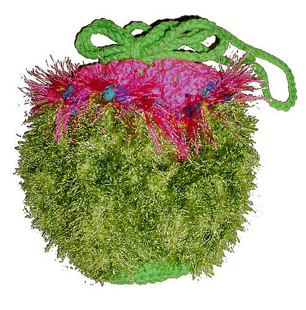Watermelon Purse
