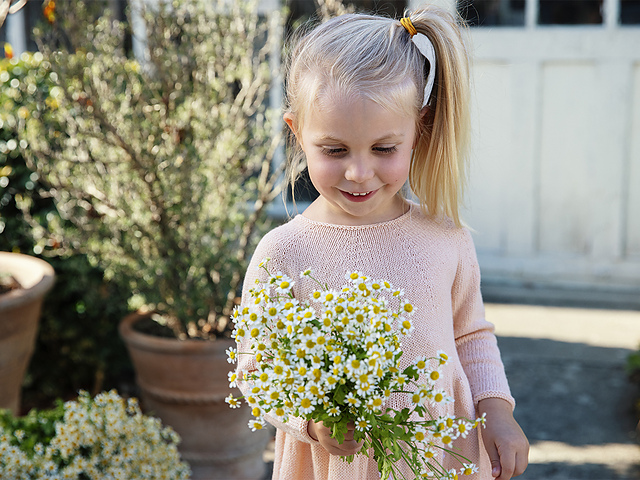 Blomstereng