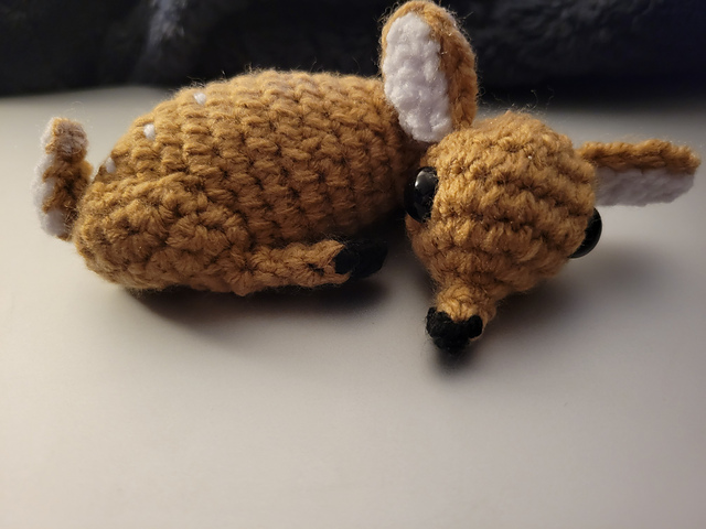 Fawn