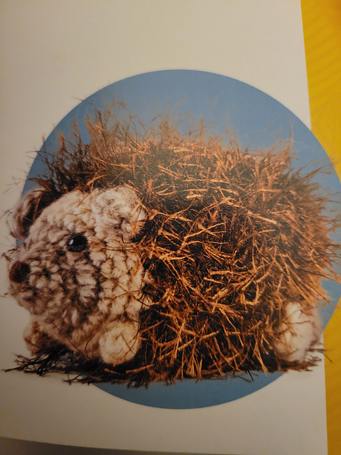 Hedgehog