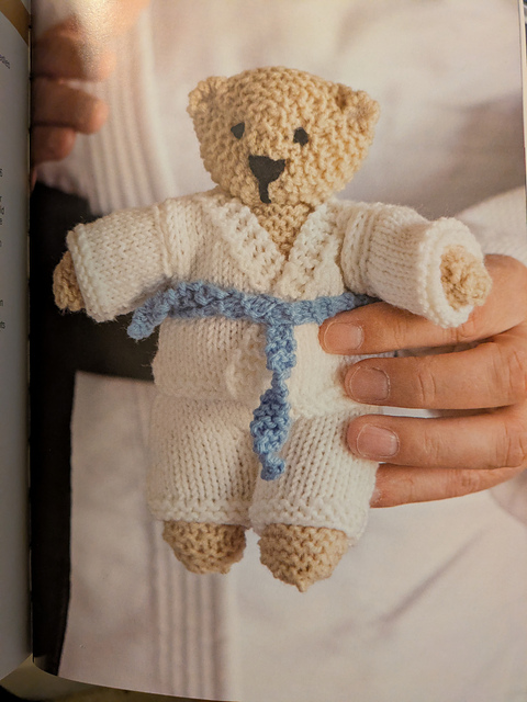 Judo Bear