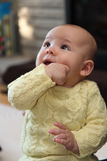 Baby's 1st Cable Sweater