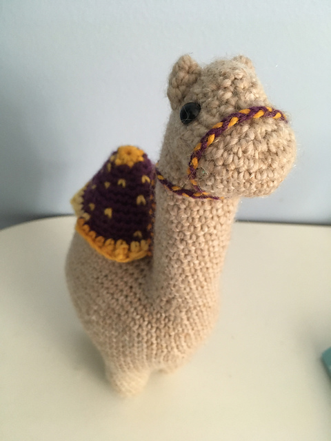 Deborah's Camel