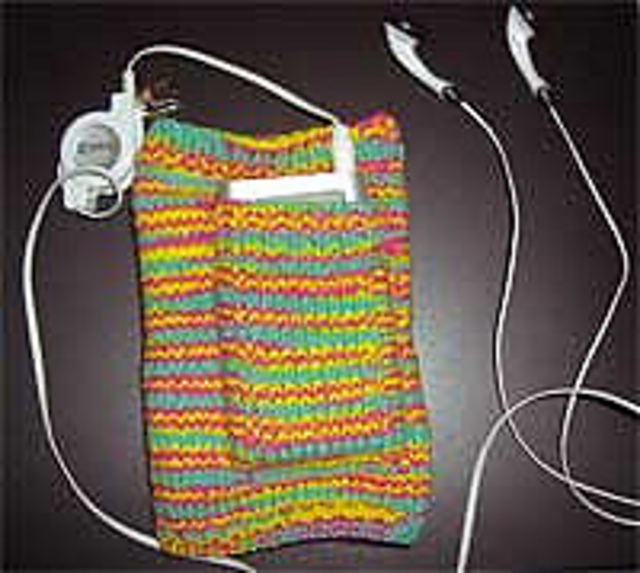 iPod Armband