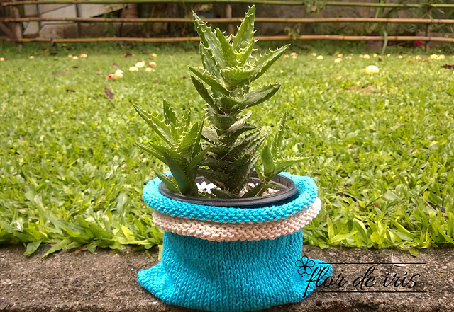 Aloe Juvenna