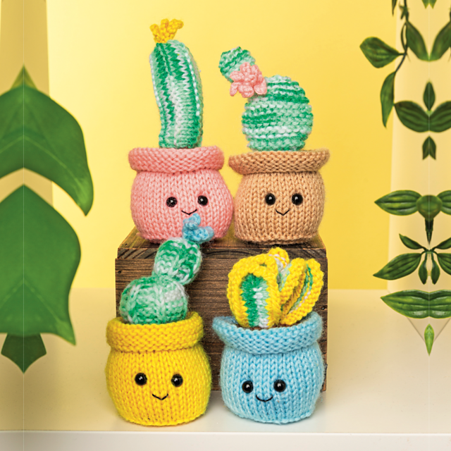 Potted Perfection Plants
