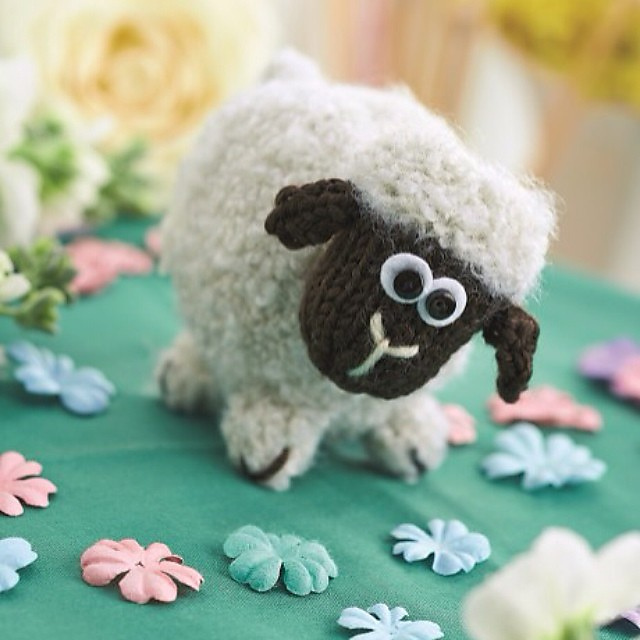 Baa bara