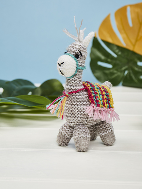 Albie the Alpaca