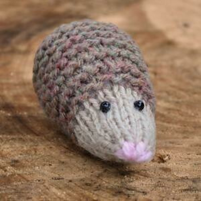 Bluebell the Baby Hedgehog
