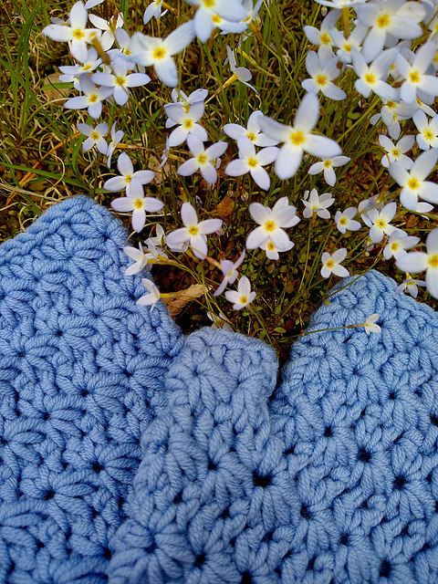 Star Cluster Mitts