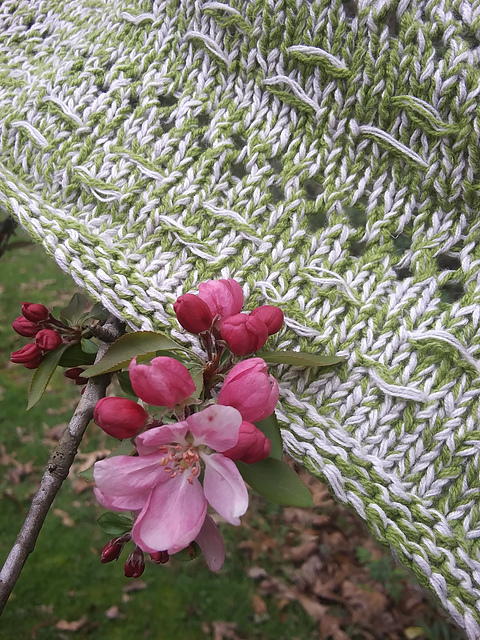 Ten Mile Shawl