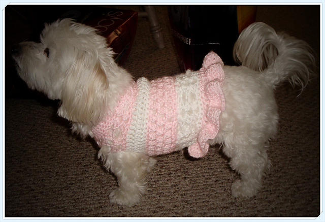 Tiny Teena's Doggie Dress