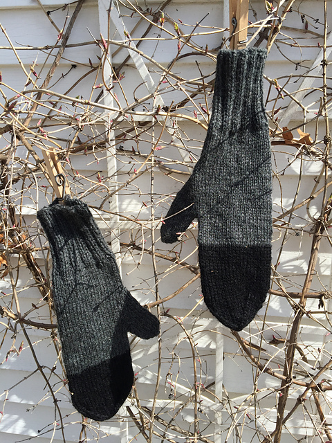 Amy's Mittens