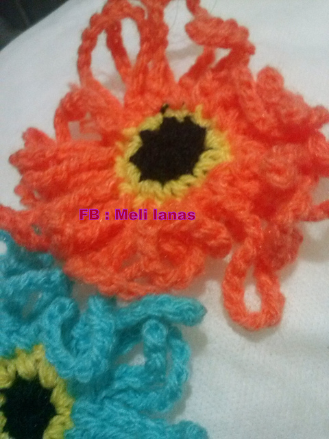Gerbera