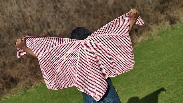Chic Reversible Shawl