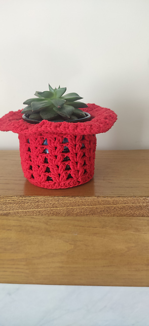 Breezy plant Cozy