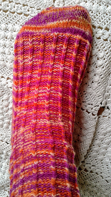 Echino Socks