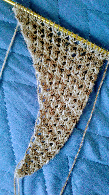 Daisy Stitch Shawl