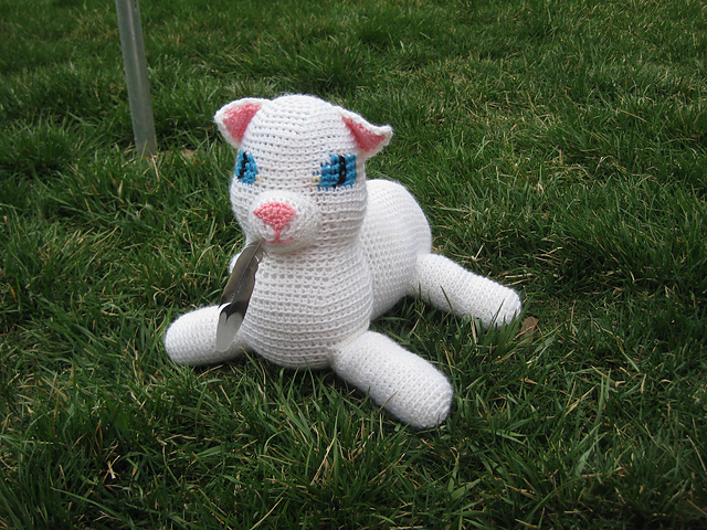 Ecovi the Cat