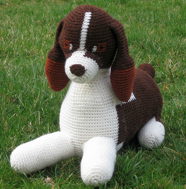 Tilly the Springer Spaniel