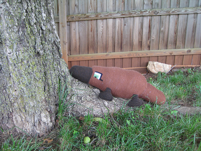 Mike the Platypus