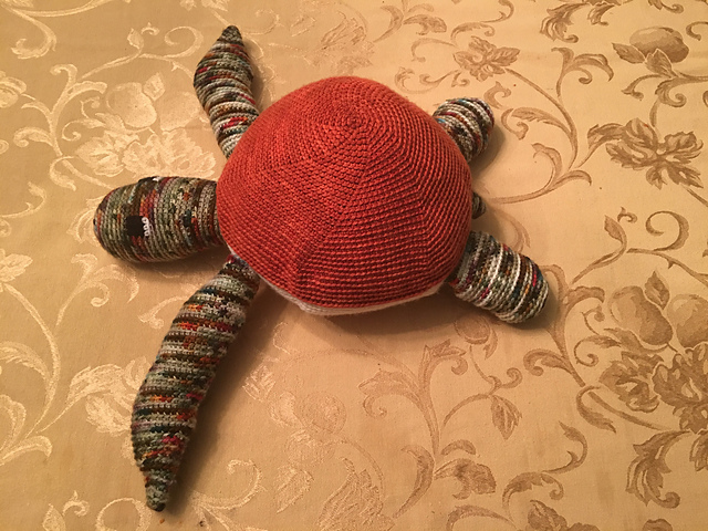 Terra the Sea Turtle