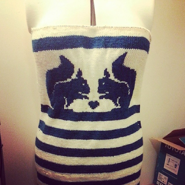 Squirrel Jumper