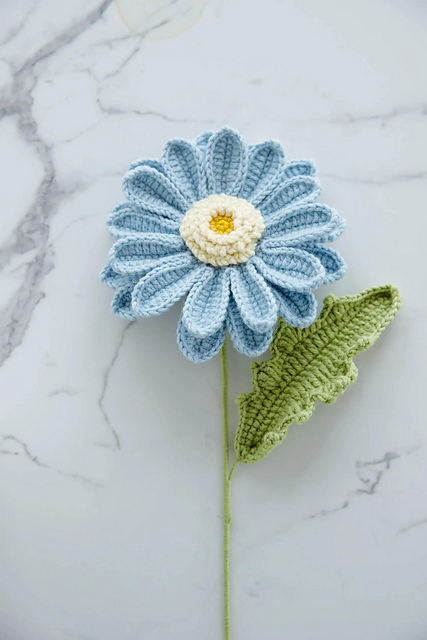 Gerbera (African daisy)