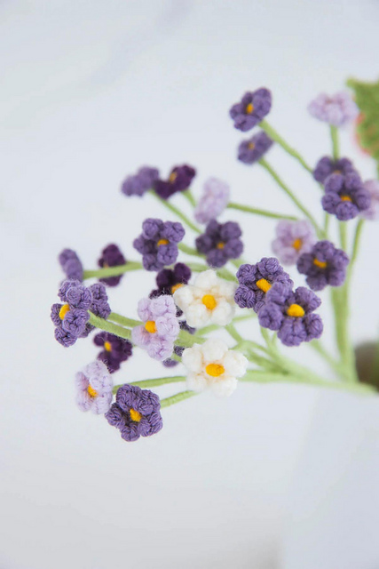 Baby's breath