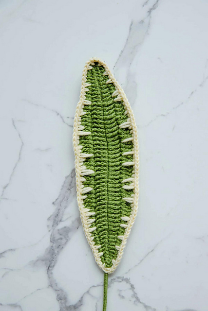 Big leaf