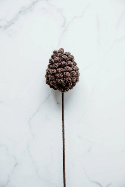 Pine cone