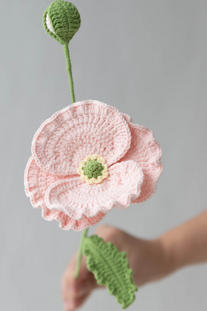 Corn poppy flower