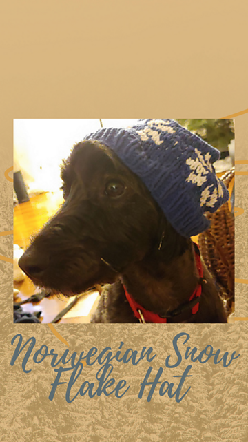 Norweigin Snowflake Hat