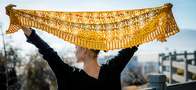 Pasadena Art Deco Shawl
