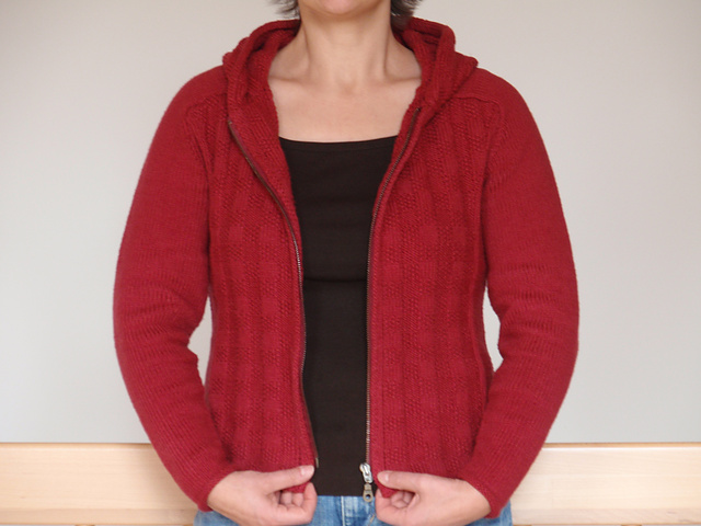 Sophisticated Hoodie