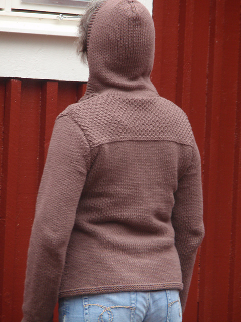 all-(north) american hoodie