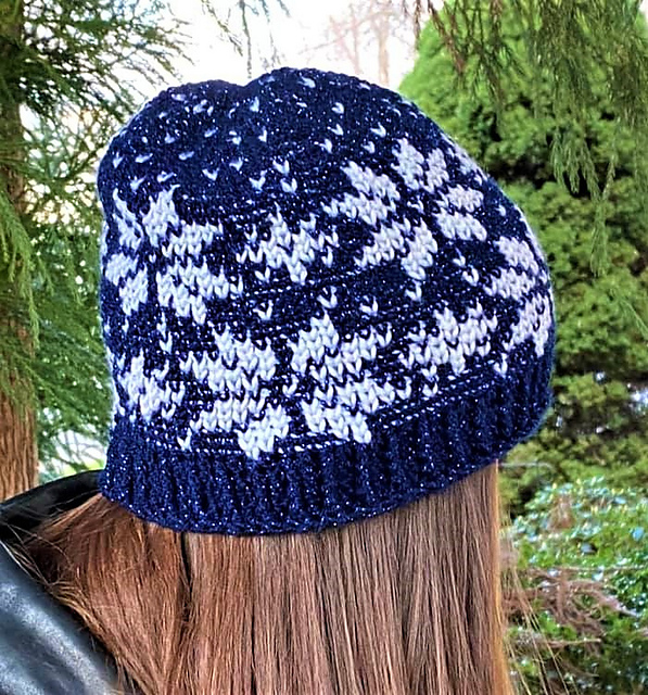 Snowy Night Hat