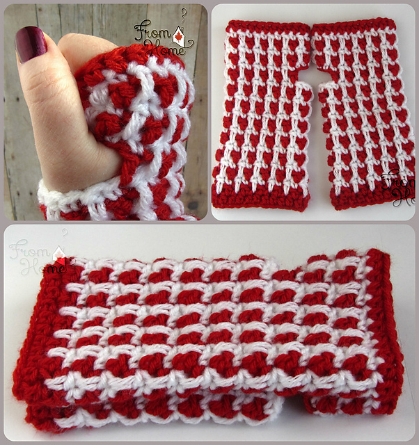 Chameleon Fingerless Gloves