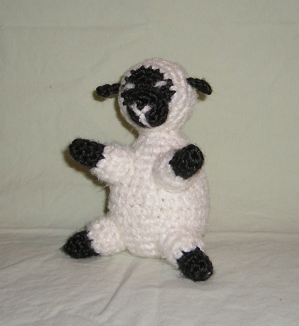 Sleepy Sheep