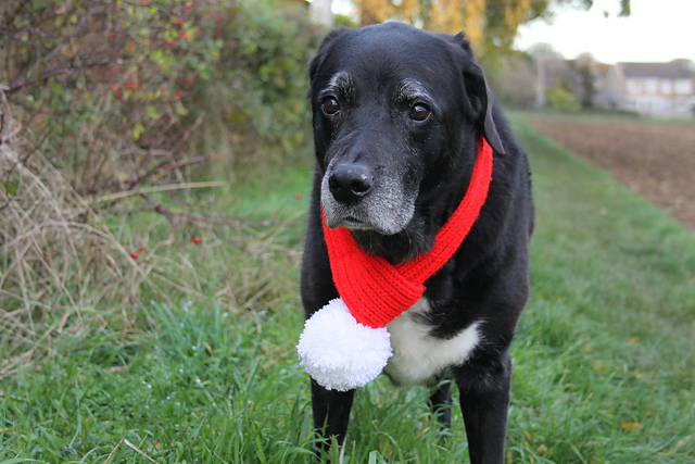 Santa Paws Dog Scarf